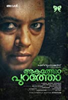 Akatho Puratho (2017) HDRip  Malayalam Full Movie Watch Online Free
